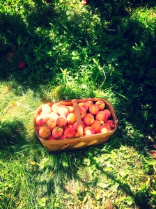 9298846092_9c7edd2af1_b