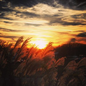 Phone Sept 2014 2052