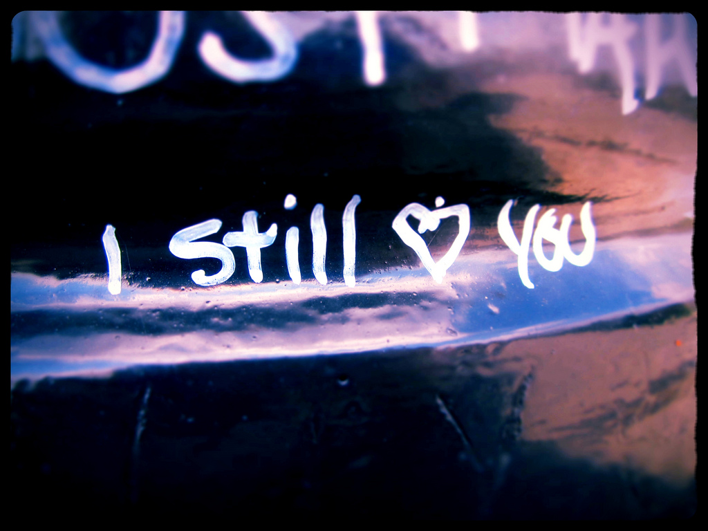 7368485794_bb638310ec_b