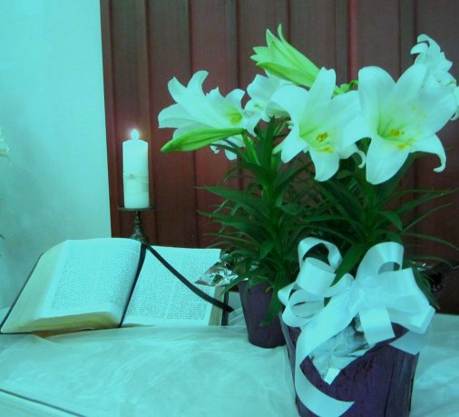 easter lily2