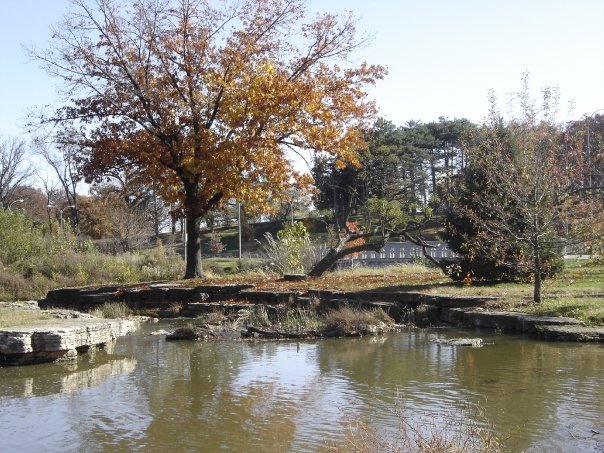 10392001_163696007809_6700173_n